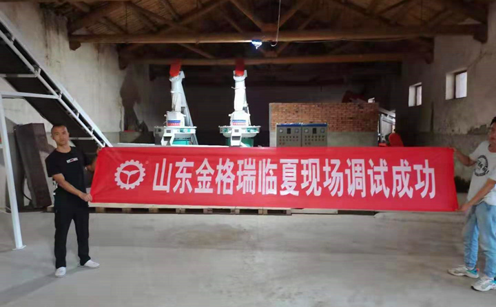 甘肅臨夏年產(chǎn)15000噸木屑造粒機(jī)生產(chǎn)線(xiàn)調(diào)試完成.jpg